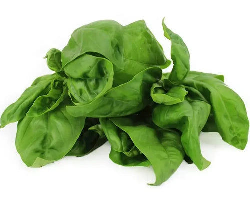 Bazylia ekologiczna polska (0,05 kg) (EKO)