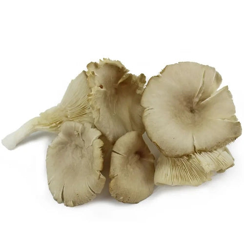 Boczniaki grzyby świeże ekologiczne (ok. 0,2 kg) (EKO)