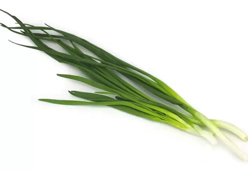 Cebula ze szczypiorkiem dymka ekologiczna polska (0,04 kg) (EKO)