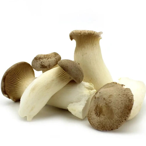 Grzyby eryngii ekologiczne borowik stepowy (0,2 kg) (EKO)