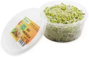 Kiełki Brokuła ekologiczne (0,05 kg) (EKO)