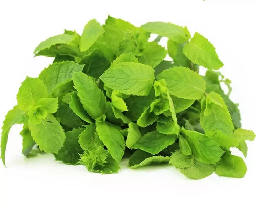 Mięta ekologiczna polska (0,05 kg) (EKO)