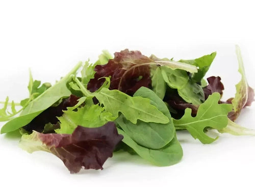 Mix sałat ekologiczny (0,1 kg) (EKO)