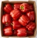Papryka czerwona ekologiczna (karton ok. 5 kg) (EKO)